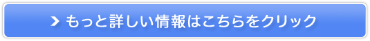 iq󌔗\TCgskyticket̔TCg